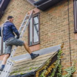 Traditional-Window-Cleaning-Google-Search